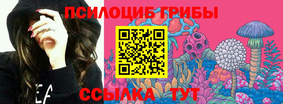 Псилоцибиновые грибы MAGIC MUSHROOMS  Вход с VPN  где купить наркоту  Корсаков 