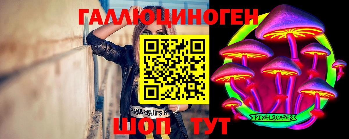 Псилоцибиновые грибы MAGIC MUSHROOMS Корсаков